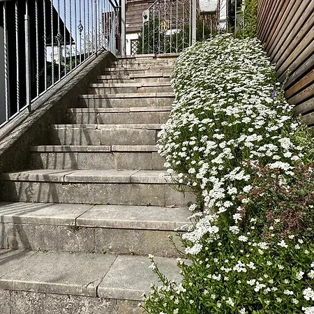 Am Hasensprung Berchtesgaden